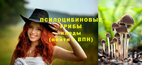 герыч Козельск